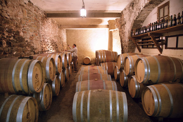 vinification corbieres-grands vins de corbieres-aoc corbieres-lagrasse-domaine chateau borderouge