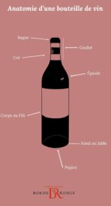 infographie decrivant anatomie bouteille de vin