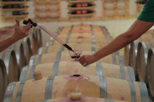 pipette vin rouge-chais borde rouge - domaine viticole lagrasse-corbieres